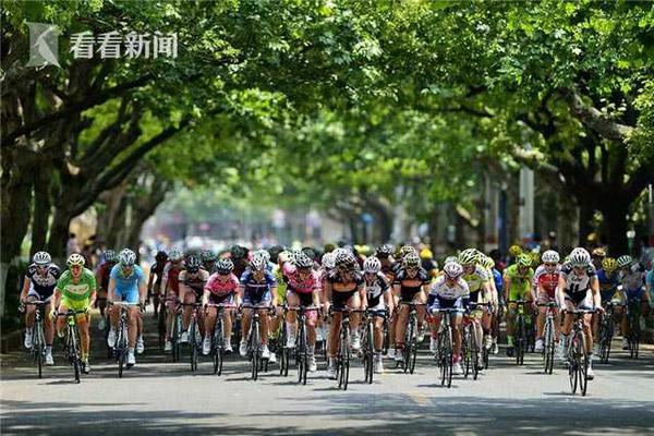 年軌距擋板價格行情全面解析